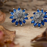 Rang Mugdha Studs - Blue