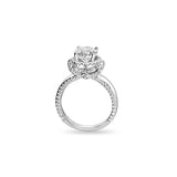 Dazzle Moments Silver Ring for Women with Zirconia