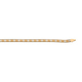 Rekha 925 Sterling Silver Anklet for Women – Golden